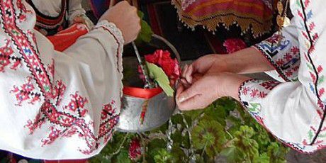 65b46c50-45e4-4555-8449-03da4a0fcd3c