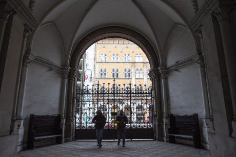 IMG_8798