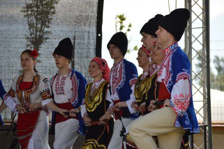 bolgár